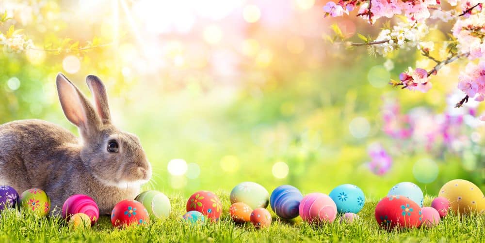 Easter bunny with colored eggs