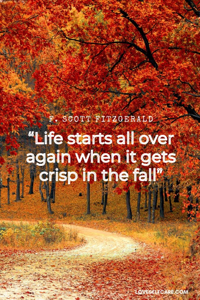 Fall quotes - "Life starts all over again when it gets crisp in the fall" by F. Scott Fitzgerald with fall leaves as the background